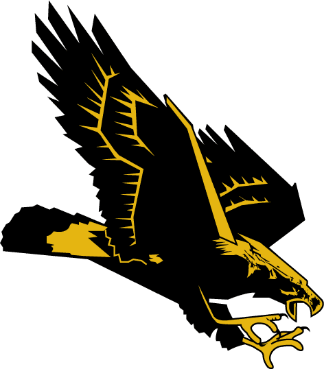 Southern Miss Golden Eagles 1990-2002 Secondary Logo fabric transfer